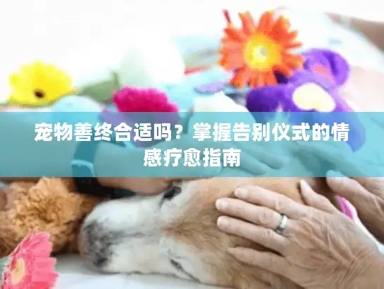 宠物善终合适吗？掌握告别仪式的情感疗愈指南