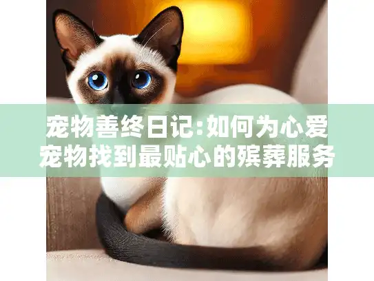 宠物善终日记:如何为心爱宠物找到最贴心的殡葬服务?