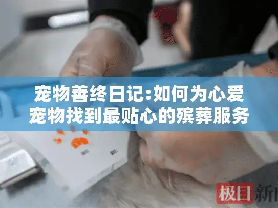宠物善终日记:如何为心爱宠物找到最贴心的殡葬服务?