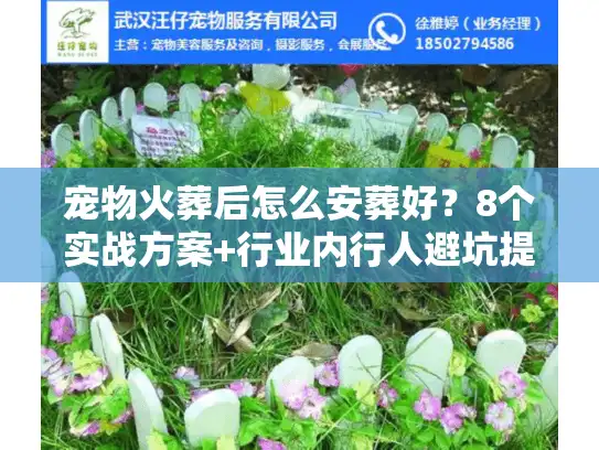 宠物火葬后怎么安葬好？8个实战方案+行业内行人避坑提醒