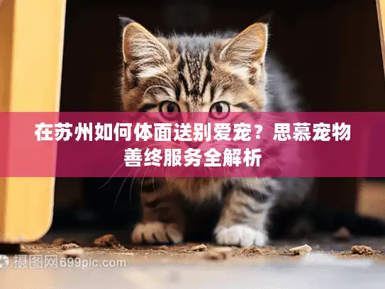 在苏州如何体面送别爱宠？思慕宠物善终服务全解析