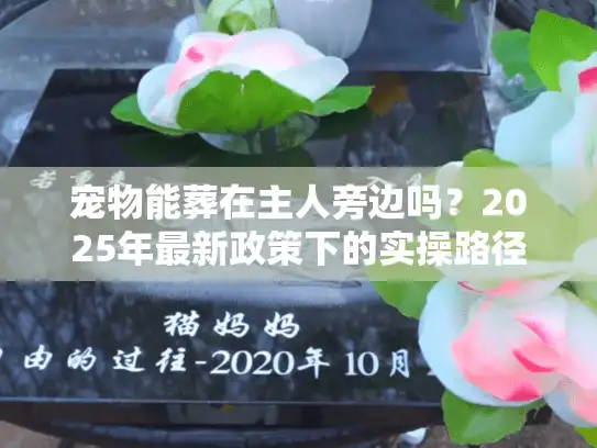 宠物能葬在主人旁边吗？2025年最新政策下的实操路径与真实案例