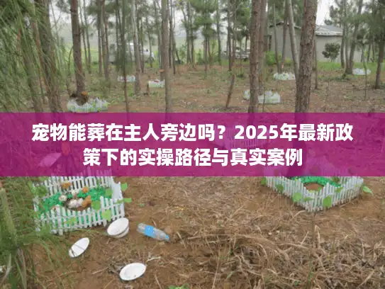 宠物能葬在主人旁边吗？2025年最新政策下的实操路径与真实案例
