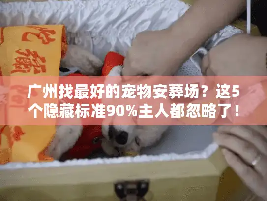 广州找最好的宠物安葬场？这5个隐藏标准90%主人都忽略了！