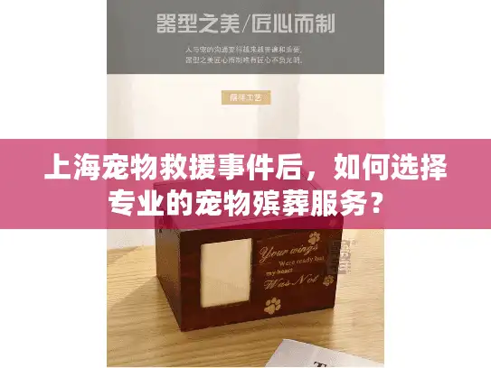 上海宠物救援事件后，如何选择专业的宠物殡葬服务？