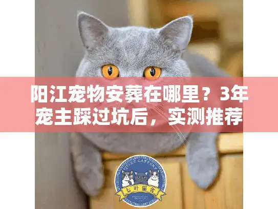 阳江宠物安葬在哪里？3年宠主踩过坑后，实测推荐这3家靠谱机构