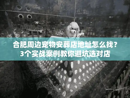 合肥周边宠物安葬店地址怎么找？3个实战案例教你避坑选对店