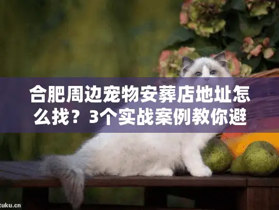 合肥周边宠物安葬店地址怎么找？3个实战案例教你避坑选对店