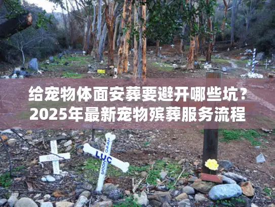 给宠物体面安葬要避开哪些坑？2025年最新宠物殡葬服务流程、费用和选择技巧