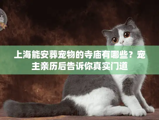 上海能安葬宠物的寺庙有哪些？宠主亲历后告诉你真实门道