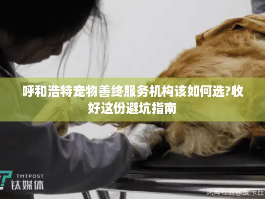 呼和浩特宠物善终服务机构该如何选?收好这份避坑指南