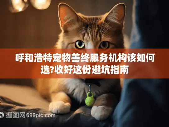 呼和浩特宠物善终服务机构该如何选?收好这份避坑指南