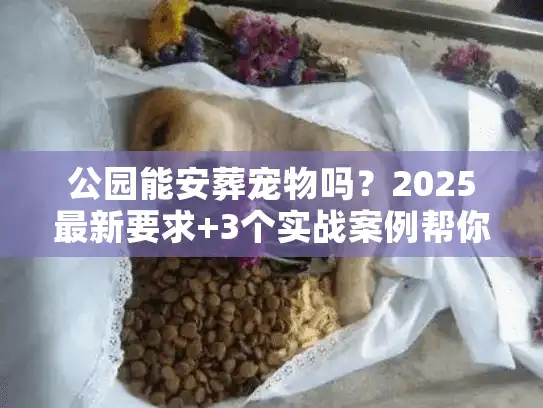 公园能安葬宠物吗？2025最新要求+3个实战案例帮你避坑