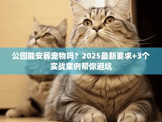 公园能安葬宠物吗？2025最新要求+3个实战案例帮你避坑