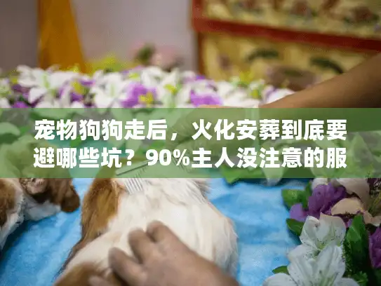 宠物狗狗走后，火化安葬到底要避哪些坑？90%主人没注意的服务细节全在这