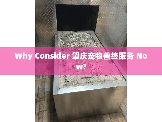 Why Consider 肇庆宠物善终服务 Now?
