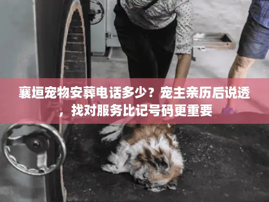 襄垣宠物安葬电话多少？宠主亲历后说透，找对服务比记号码更重要