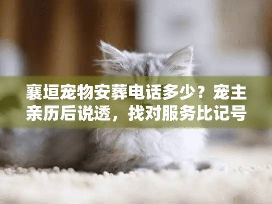 襄垣宠物安葬电话多少？宠主亲历后说透，找对服务比记号码更重要