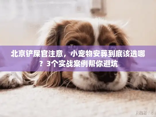北京铲屎官注意，小宠物安葬到底该选哪？3个实战案例帮你避坑