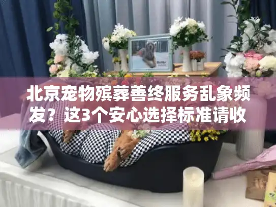 北京宠物殡葬善终服务乱象频发？这3个安心选择标准请收好