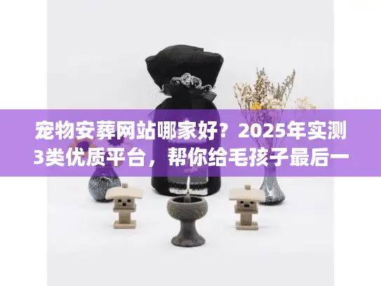 宠物安葬网站哪家好？2025年实测3类优质平台，帮你给毛孩子最后一份体面