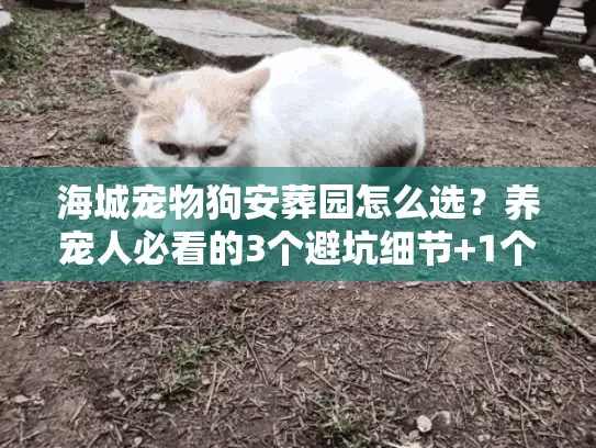海城宠物狗安葬园怎么选？养宠人必看的3个避坑细节+1个暖心案例