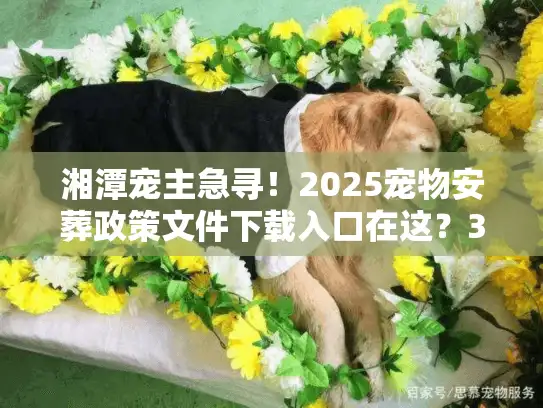 湘潭宠主急寻！2025宠物安葬政策文件下载入口在这？3个殡葬坑别等踩了才后悔