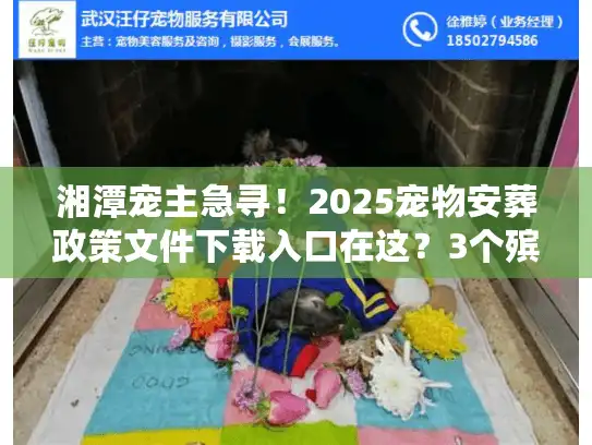 湘潭宠主急寻！2025宠物安葬政策文件下载入口在这？3个殡葬坑别等踩了才后悔