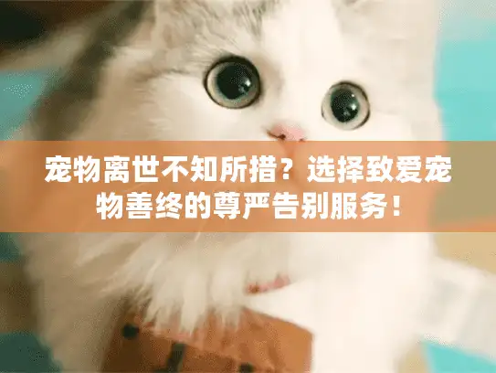 宠物离世不知所措？选择致爱宠物善终的尊严告别服务！