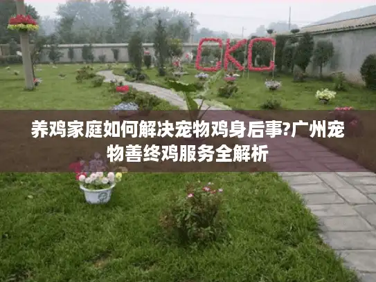 养鸡家庭如何解决宠物鸡身后事?广州宠物善终鸡服务全解析