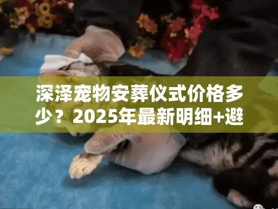 深泽宠物安葬仪式价格多少？2025年最新明细+避坑指南