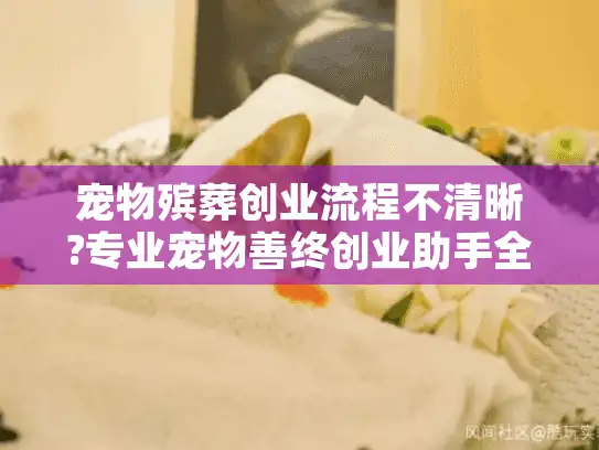 宠物殡葬创业流程不清晰?专业宠物善终创业助手全程解决方案