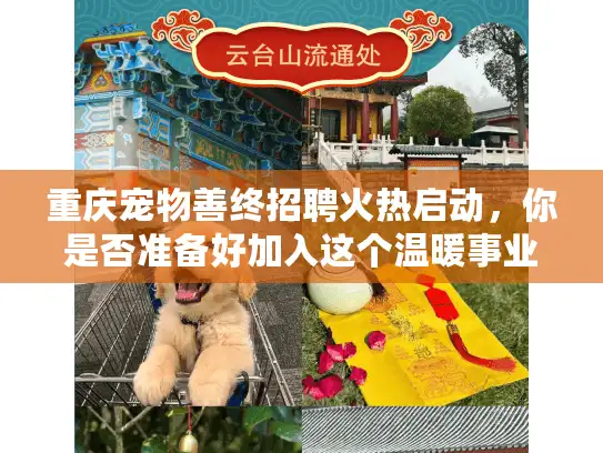 重庆宠物善终招聘火热启动，你是否准备好加入这个温暖事业？