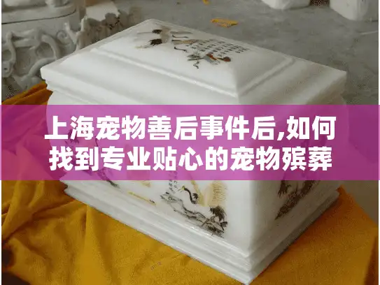 上海宠物善后事件后,如何找到专业贴心的宠物殡葬服务?