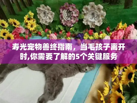 寿光宠物善终指南，当毛孩子离开时,你需要了解的5个关键服务