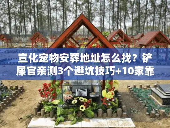 宣化宠物安葬地址怎么找？铲屎官亲测3个避坑技巧+10家靠谱点全梳理