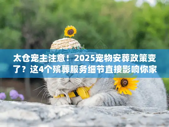 太仓宠主注意！2025宠物安葬政策变了？这4个殡葬服务细节直接影响你家毛孩的最后一程