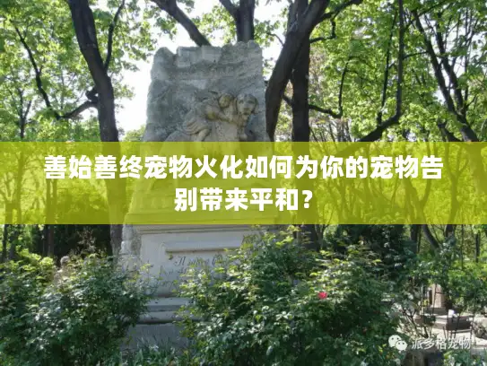 善始善终宠物火化如何为你的宠物告别带来平和？