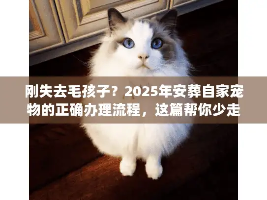 刚失去毛孩子？2025年安葬自家宠物的正确办理流程，这篇帮你少走弯路