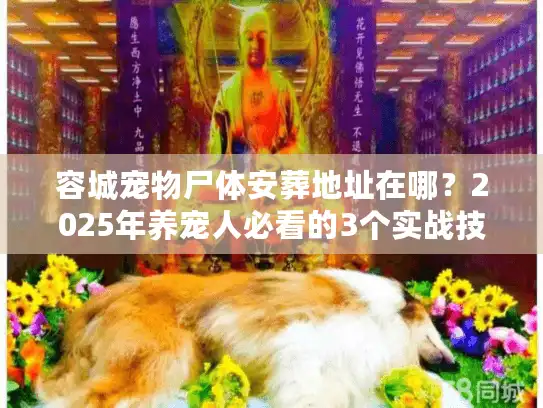 容城宠物尸体安葬地址在哪？2025年养宠人必看的3个实战技巧+隐藏服务
