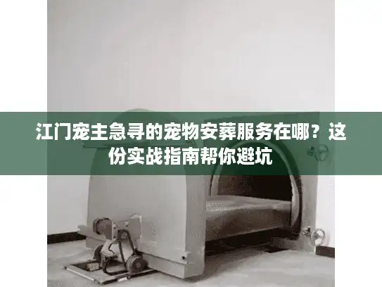 江门宠主急寻的宠物安葬服务在哪？这份实战指南帮你避坑