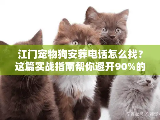江门宠物狗安葬电话怎么找？这篇实战指南帮你避开90%的坑