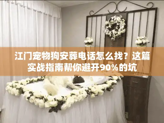 江门宠物狗安葬电话怎么找？这篇实战指南帮你避开90%的坑