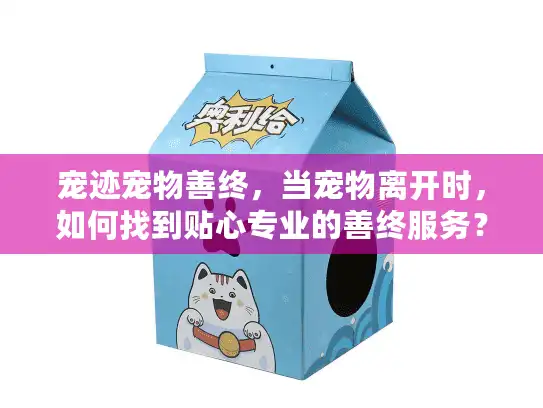 宠迹宠物善终，当宠物离开时，如何找到贴心专业的善终服务？