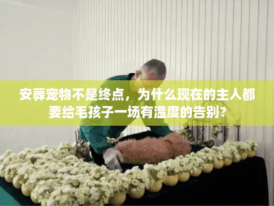 安葬宠物不是终点，为什么现在的主人都要给毛孩子一场有温度的告别？