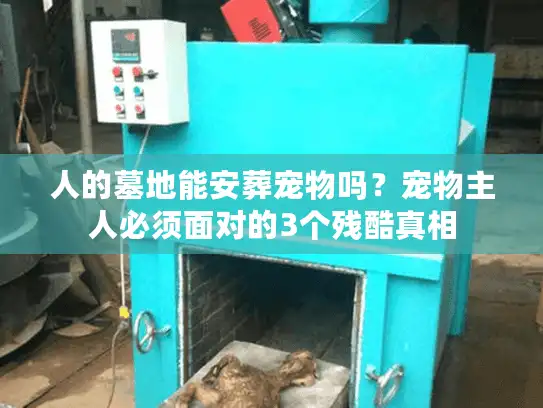人的墓地能安葬宠物吗？宠物主人必须面对的3个残酷真相