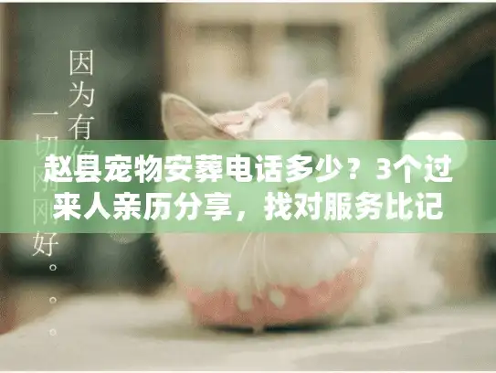 赵县宠物安葬电话多少？3个过来人亲历分享，找对服务比记号码更重要