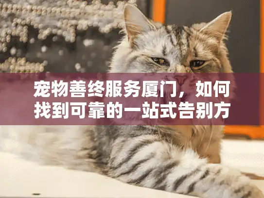 宠物善终服务厦门，如何找到可靠的一站式告别方案？