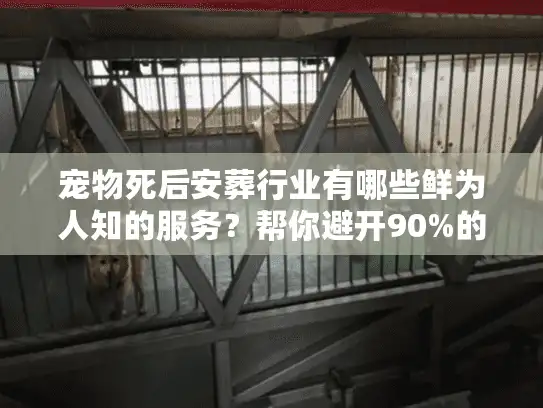 宠物死后安葬行业有哪些鲜为人知的服务？帮你避开90%的选择误区