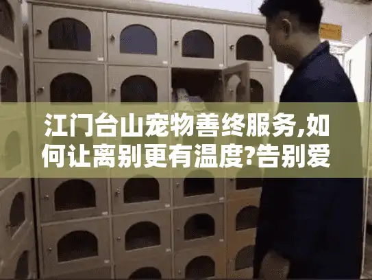 江门台山宠物善终服务,如何让离别更有温度?告别爱宠指南